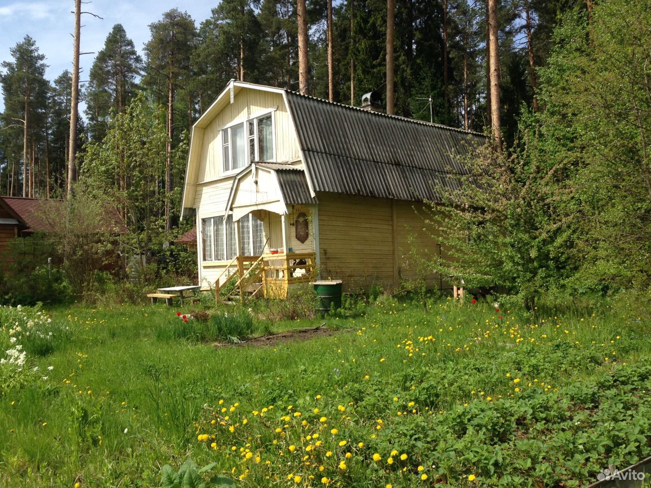 Загородная петрозаводск. Лучевое 1 Карелия. Лучевое 2 Карелия. Дача в Карелии. Дача лучевое 1.