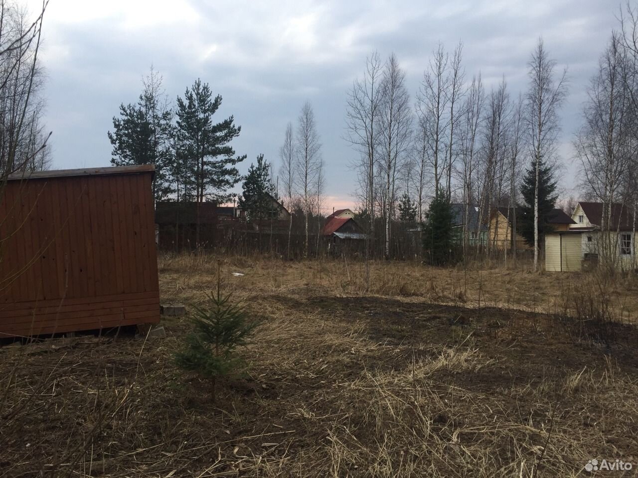 Снт клен карта