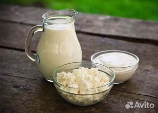 Молоко, сыр, сметана купить на Зозу.ру - фотография № 1
