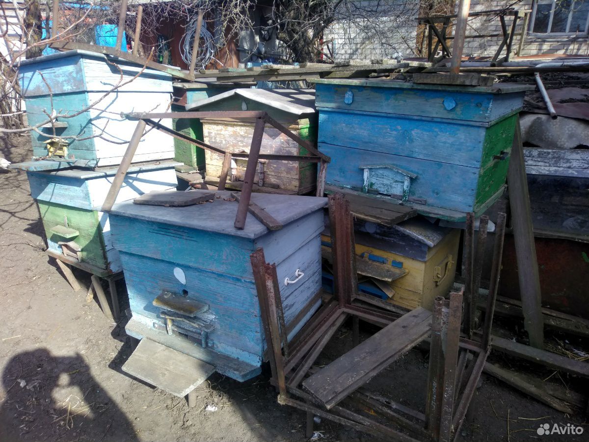 Продам пчелиные ульи купить на Зозу.ру - фотография № 3