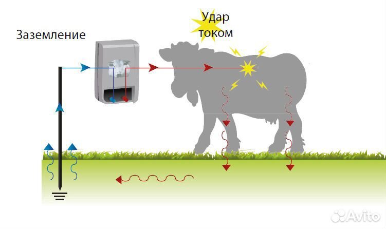 Принцип работы электропастуха для коров схема
