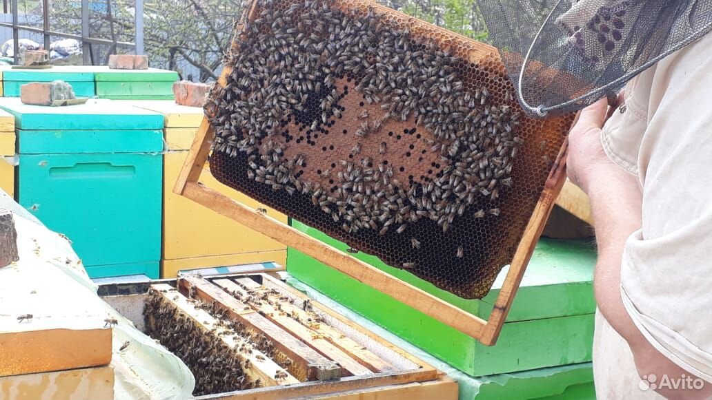 Пчело покеты купить на Зозу.ру - фотография № 3