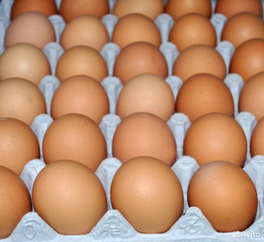 Продаю яйцо инкубационное утинное,а так же цыплята купить на Зозу.ру - фотография № 1