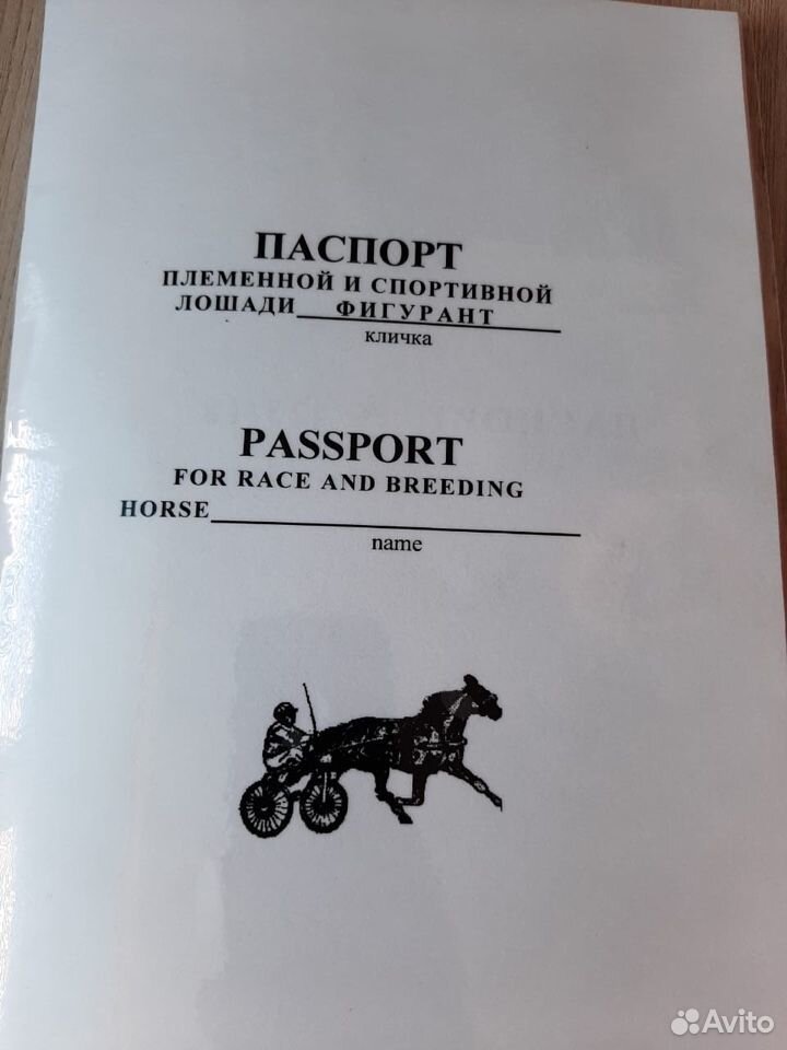 Лошадь. Рысак купить на Зозу.ру - фотография № 4