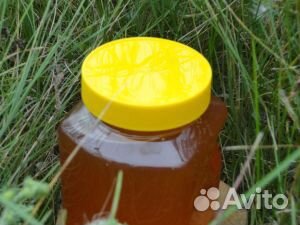 Свежий мёд с акации купить на Зозу.ру - фотография № 1