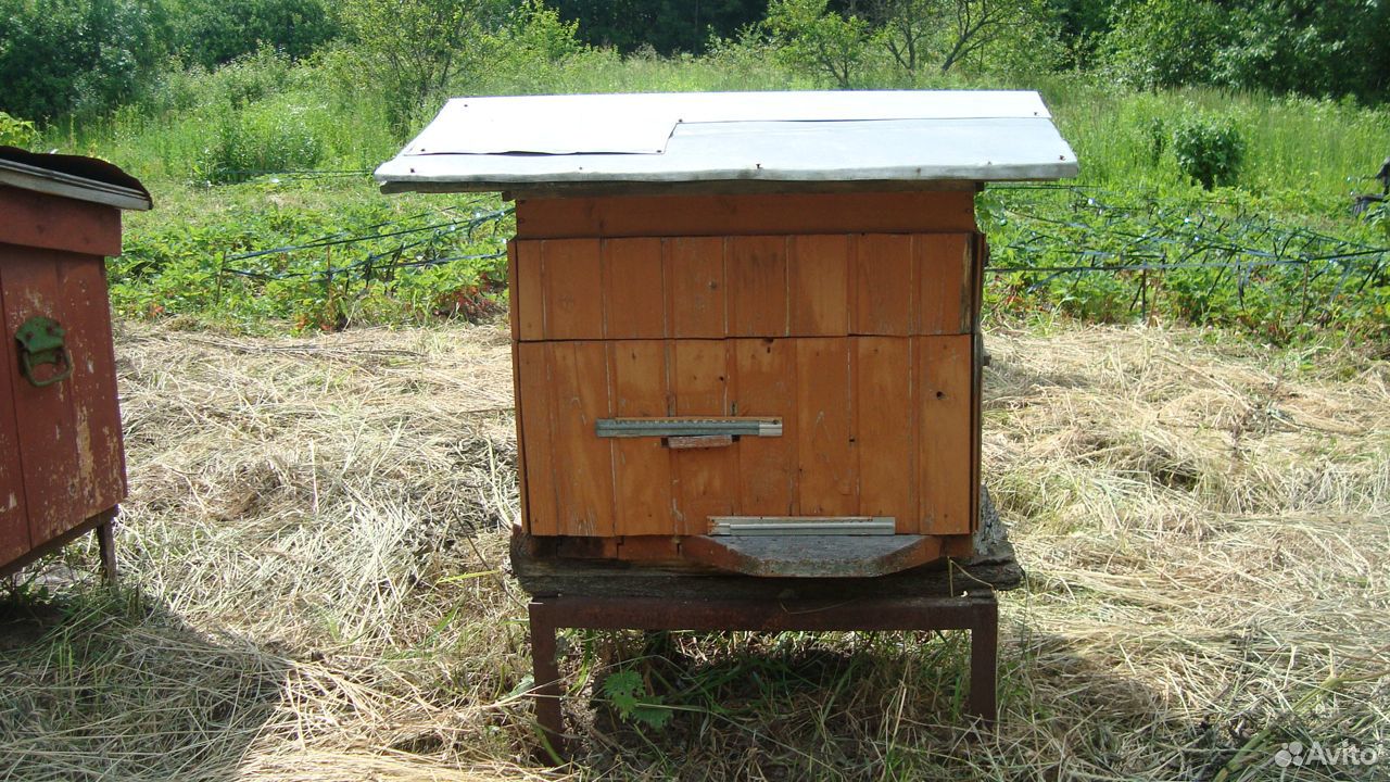 Пчелиные ульи купить на Зозу.ру - фотография № 6
