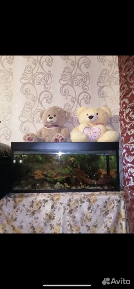 Вместе рыба продаю аквариум купить на Зозу.ру - фотография № 1