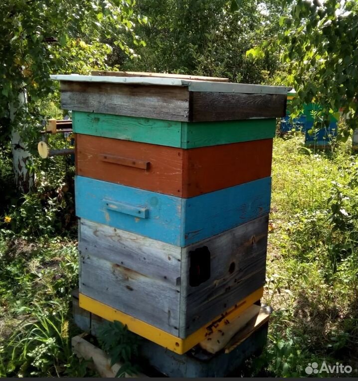 Улья для пчёл б/у в дар купить на Зозу.ру - фотография № 1