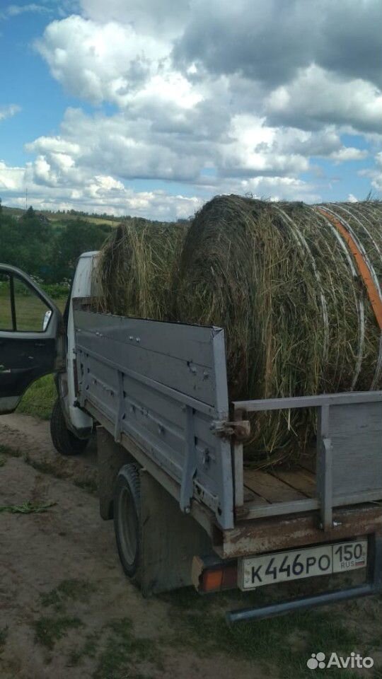 Сырая трава в рулонах купить на Зозу.ру - фотография № 2