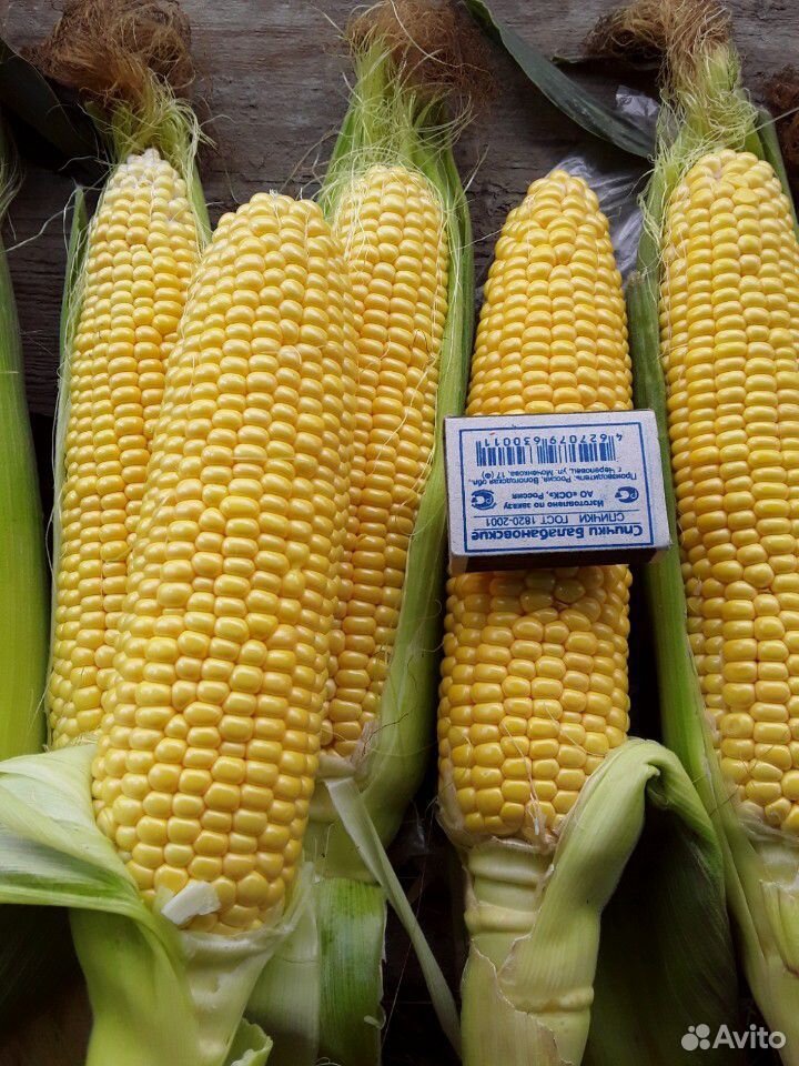Супер сладкая кукуруза купить на Зозу.ру - фотография № 2