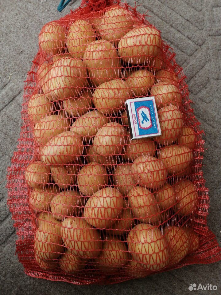 Картофель купить на Зозу.ру - фотография № 3