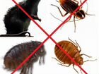 Уничтожение насекомых объявление продам
