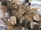 Услуги по опиловке,стрижке и удалению деревьев объявление продам