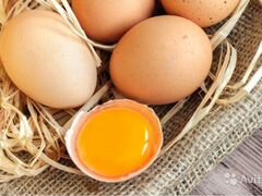 Яйцо куриное (домашнее), от10шт