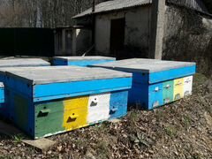 Улей и ящики для пчел