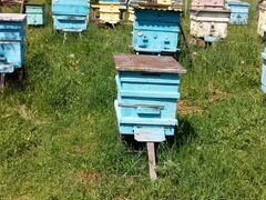 Продам пчелосемьи и улья бу