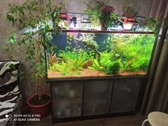 Новый аквариум с тумбой