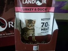 Влажный корм для котят Landor