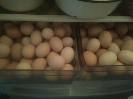 Яйца от коренных деревенских несушек