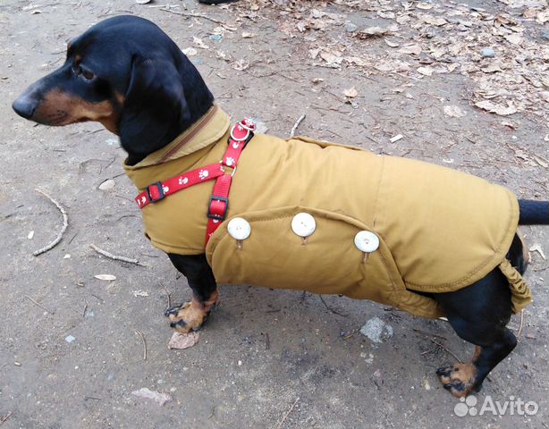 Попона для средних собак