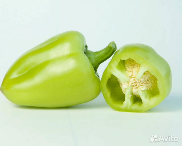 Семена Перца 