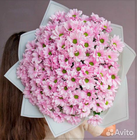 Хризантема микс цветы №111