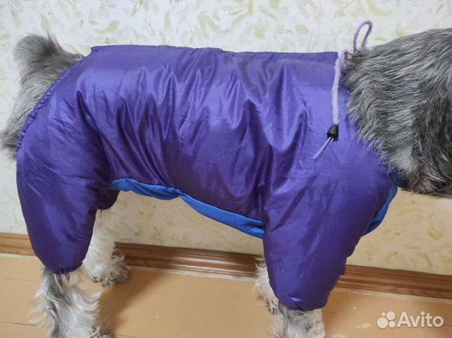 Одежда для средних собак