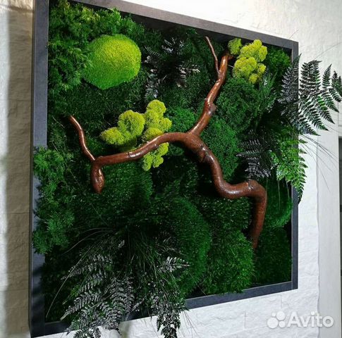 Фитокартина панно из мха картина из мха со мхом