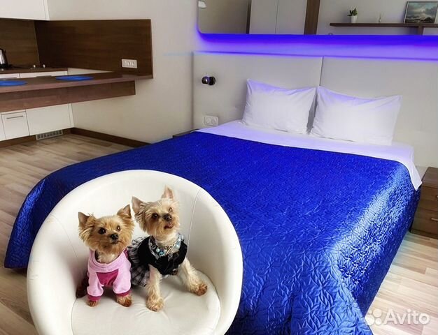 

Квартира-студия, 29 м², 16/16 эт.