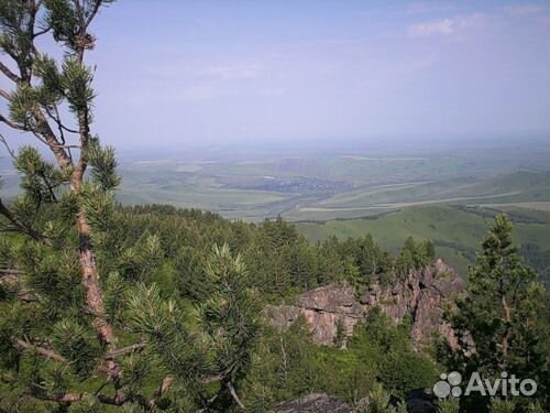 Участок 18.63 га (СНТ, ДНП)