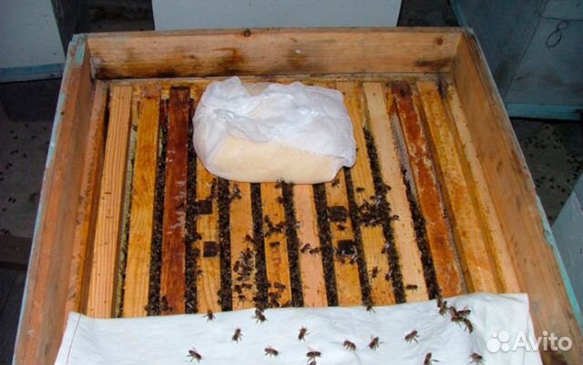 Канди-подкормка для пчёл купить на Зозу.ру - фотография № 2