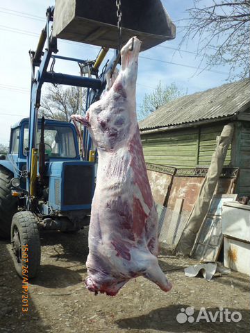Мясо быков купить на Зозу.ру - фотография № 1