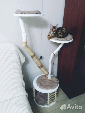 Домик когтеточка для кота и кошки