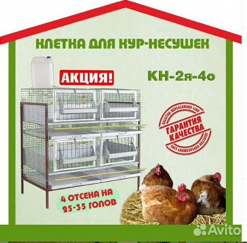 Купить Корм Для Кур Несушек В Хабаровске