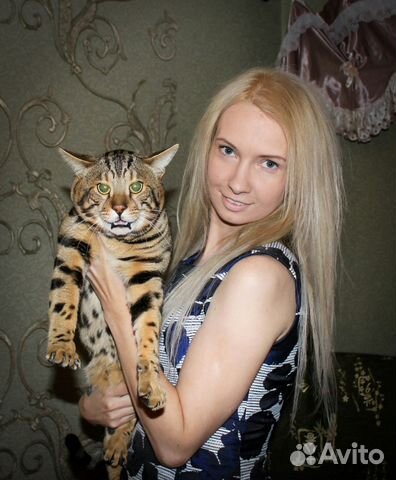 Вязка. Крупный кот F5 купить на Зозу.ру - фотография № 2