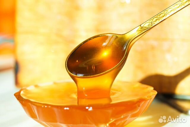 Мёд с личной пасеки оптом и в розницу
