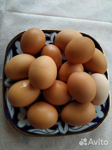 Куриные домашние яйца