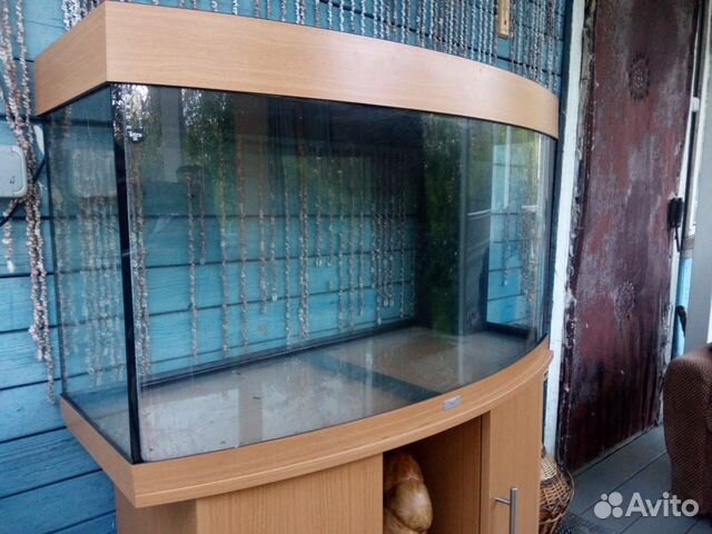 Продаю элегантный панорамный аквариум juwel vision купить на Зозу.ру - фотография № 5