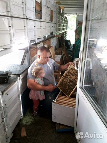 Пчелопакеты 2020 купить на Зозу.ру - фотография № 3