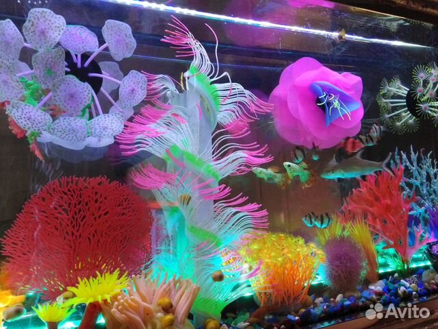 Настенный аквариум Himat 265х60х15 см купить на Зозу.ру - фотография № 6