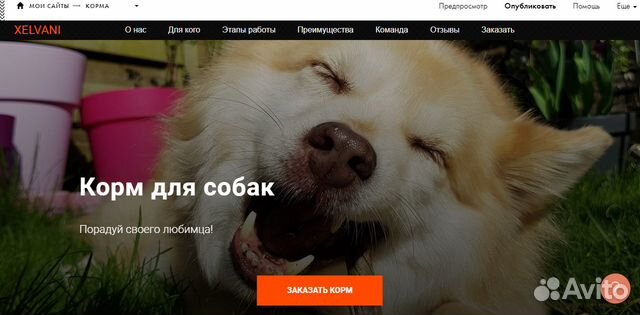 Создание сайта на платформе Tilda