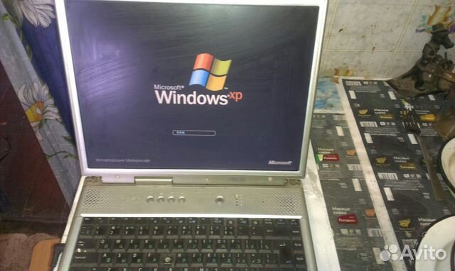 Купить Ноутбук Windows Xp Авито.Ру