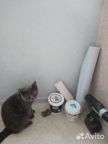 Ремонт квартир. Поклейка обоев Ремонт квартир. Поклейка обоев