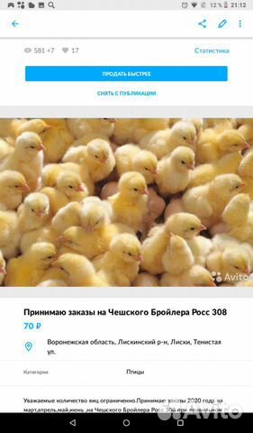 Продам цыплят Бройлеров Кобб 500 Чехия купить на Зозу.ру - фотография № 1