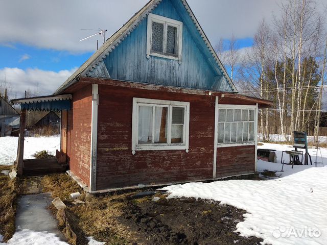 садоводы севера 2. садоводы севера коряжма сайт. садовый участок.