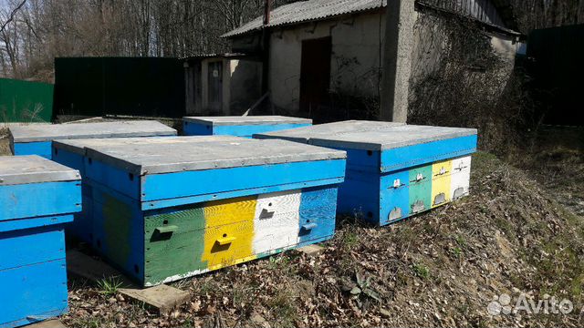 Улей и ящики для пчел купить на Зозу.ру - фотография № 1
