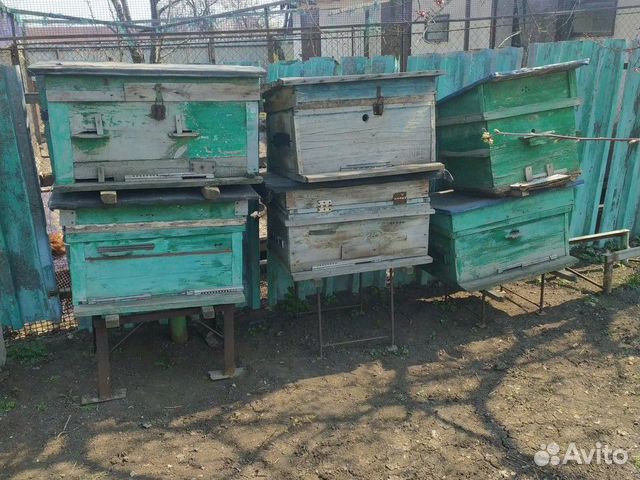 Продам улья для пчёл купить на Зозу.ру - фотография № 1