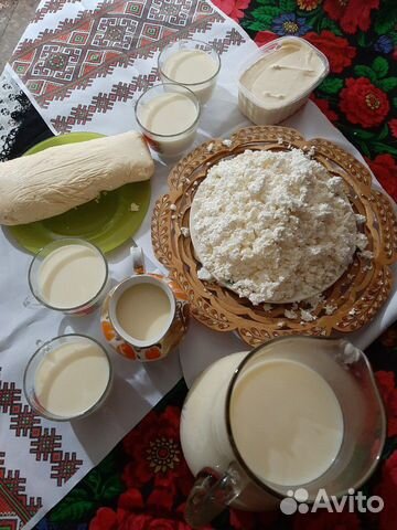Домашняя молочная продукция