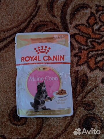 Продам влажный корм royal canin kitten мейн кун Продам влажный корм royal canin kitten мейн кун