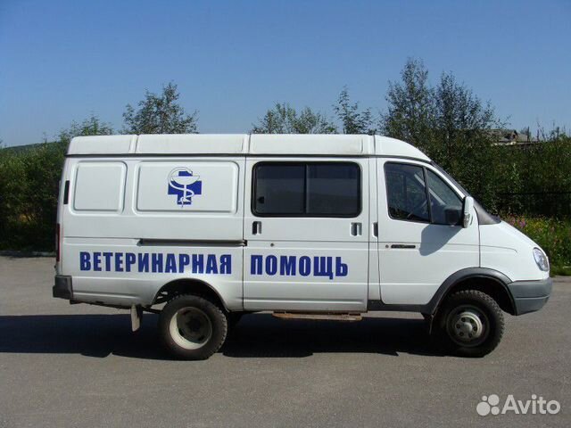 Гуманно усыпим собаку, кошку на дому